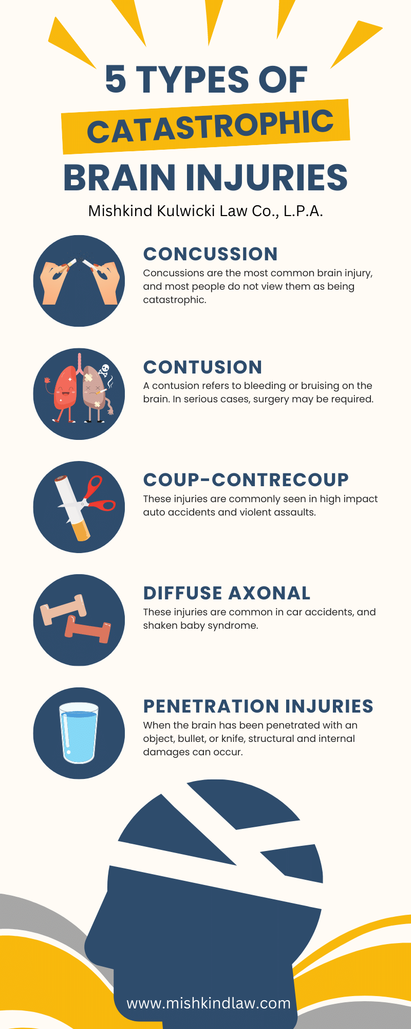 Types of Catastrophic Brain Injuries Infographic